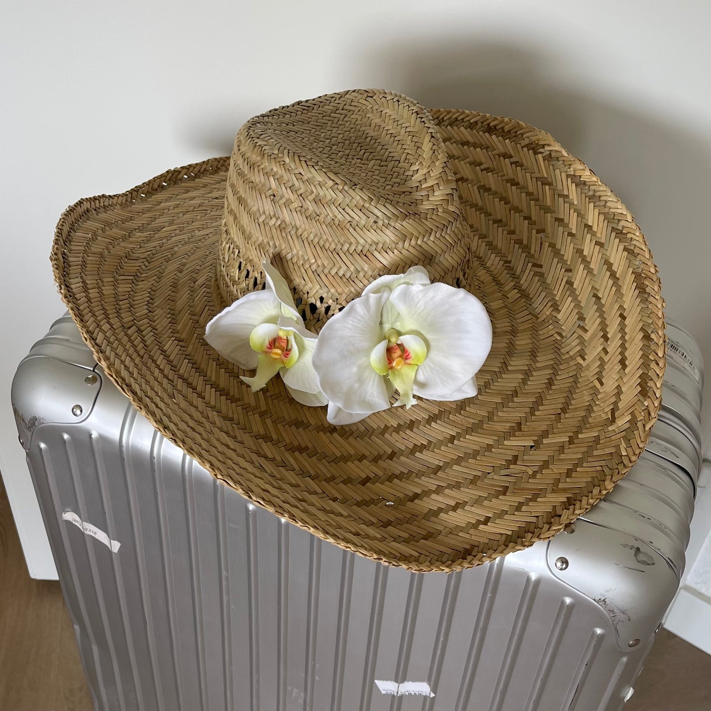 Cowboy Orchid Flower