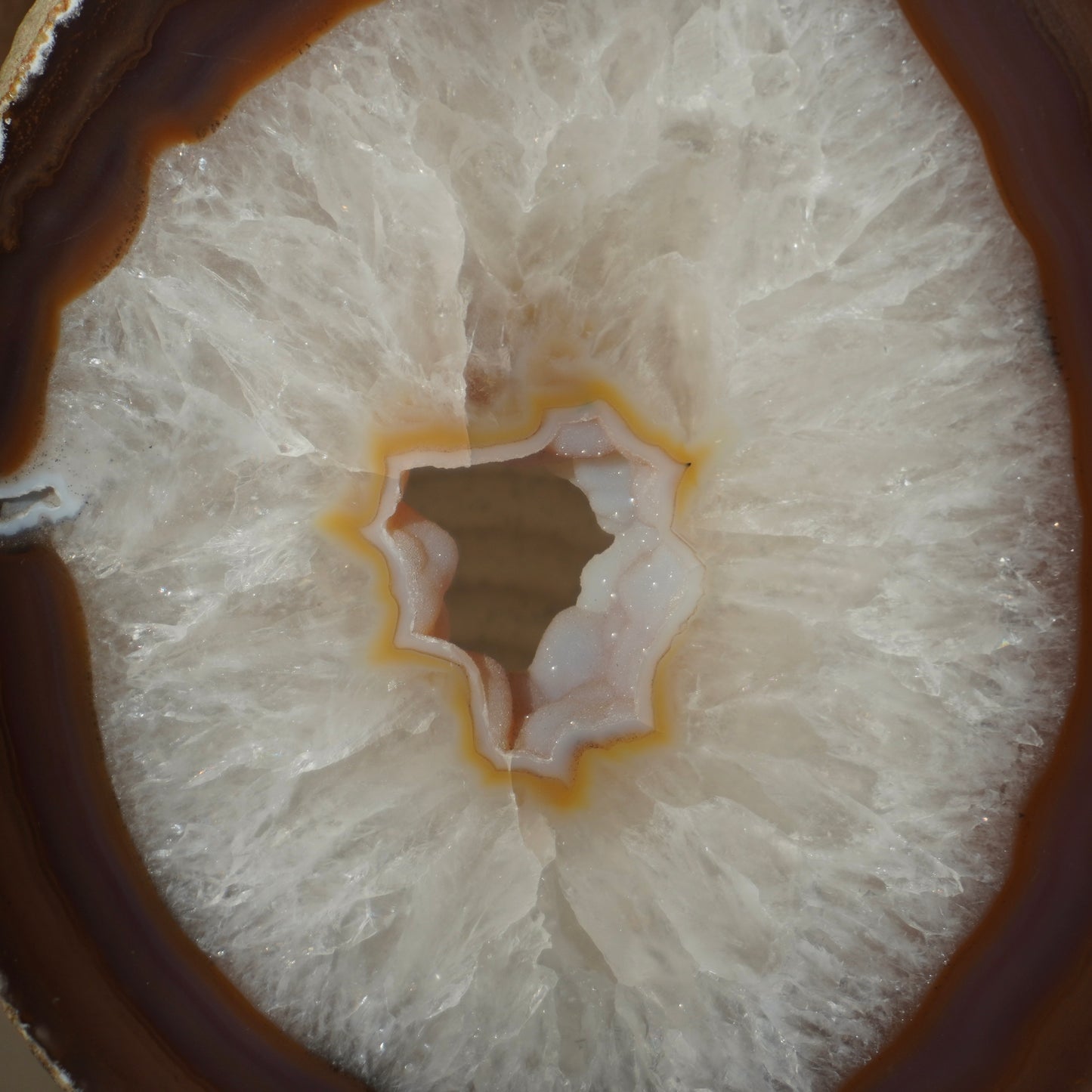 Agate Slice on stand (Large) Amber