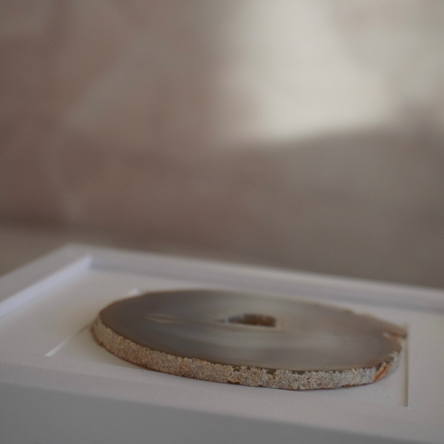 Gemstone Frame Fossil