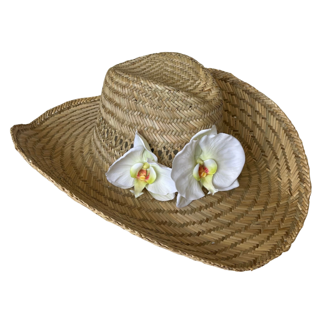 Cowboy Orchid Flower