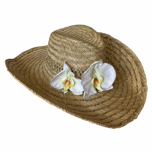 Cowboy Orchid Flower