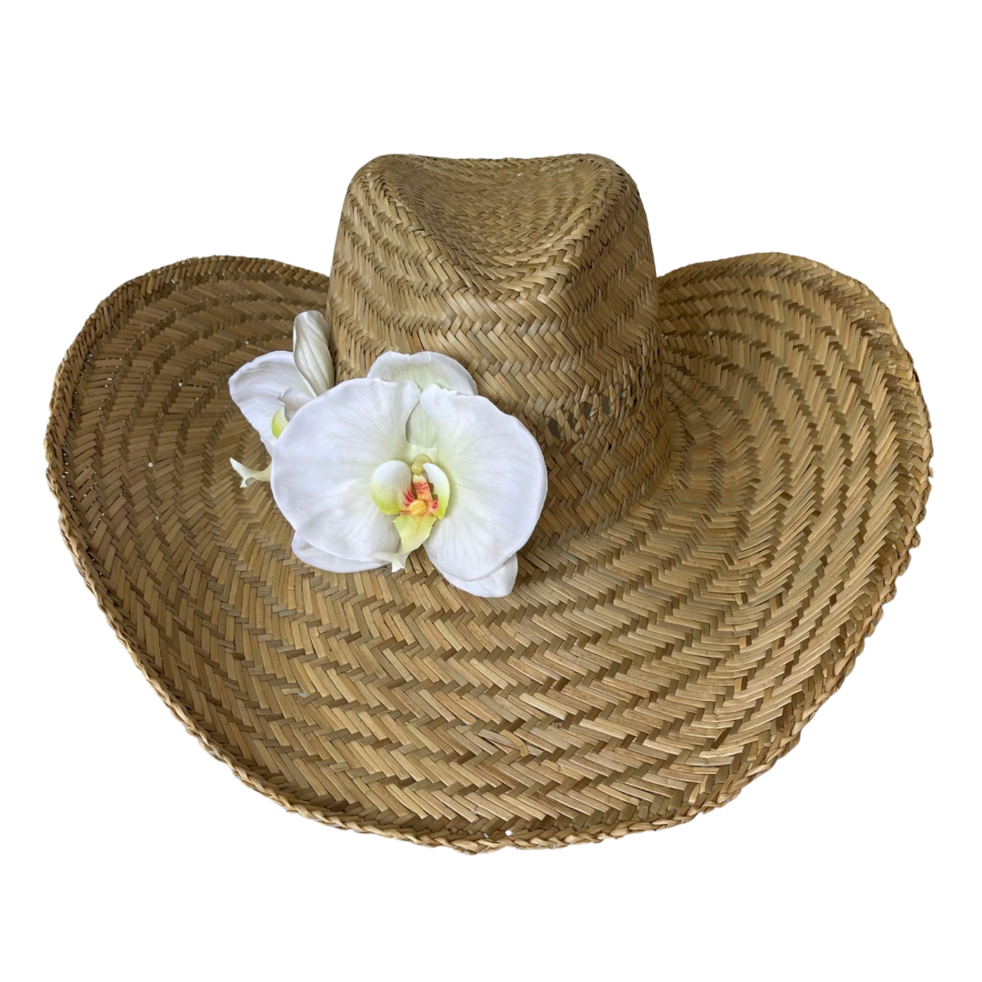 Cowboy Orchid Flower