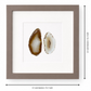 Gemstone Frame brown Almond