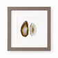 Gemstone Frame brown Almond