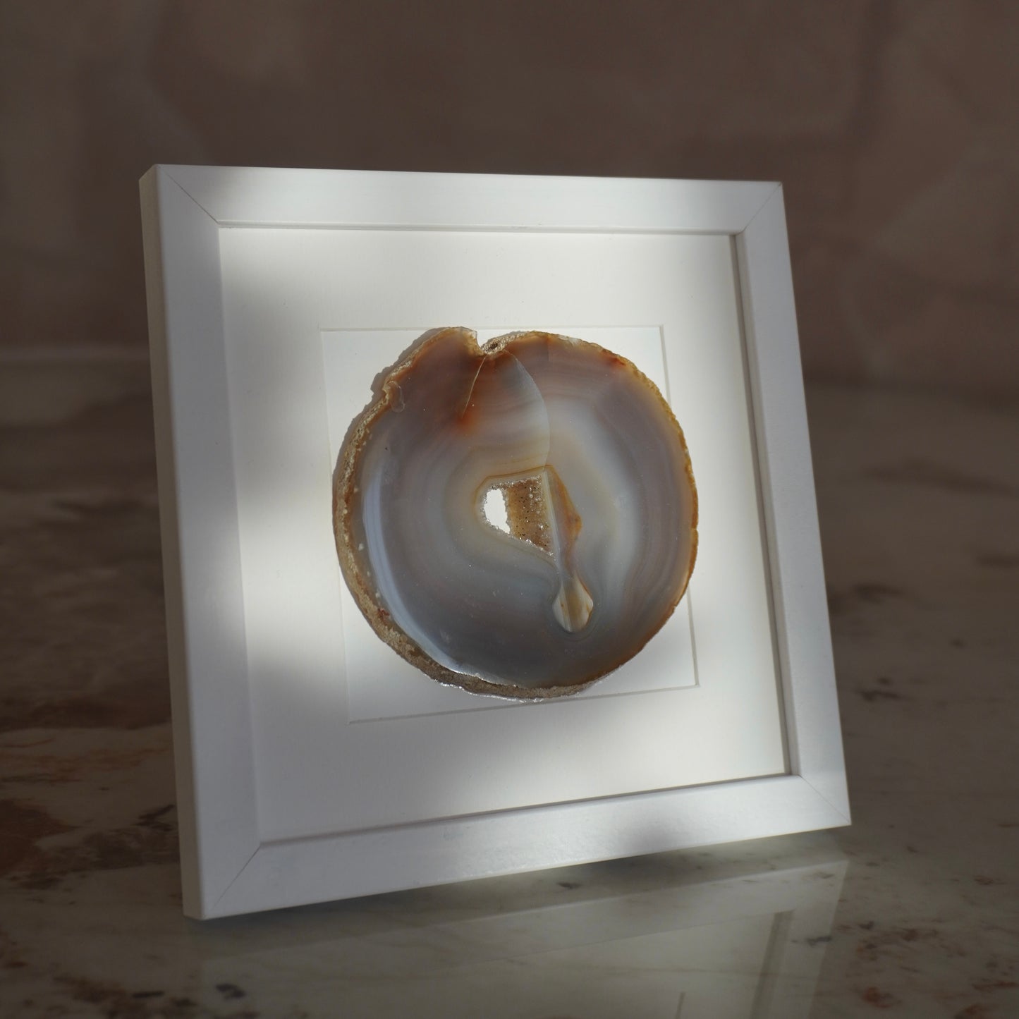 Gemstone Frame Fossil