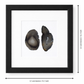Gemstone Frame black Midnight