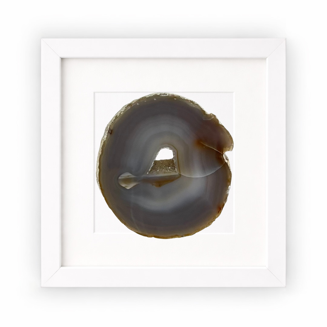 Gemstone Frame Fossil
