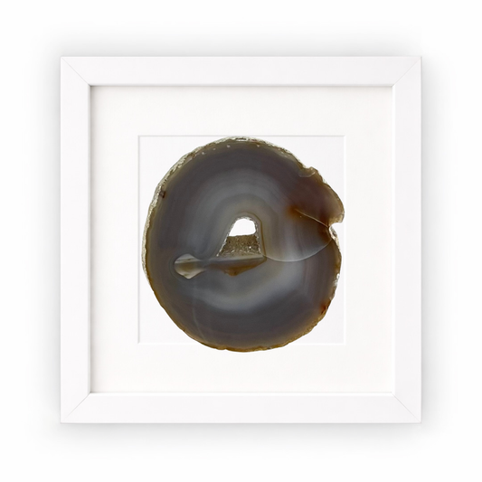 Gemstone Frame Fossil