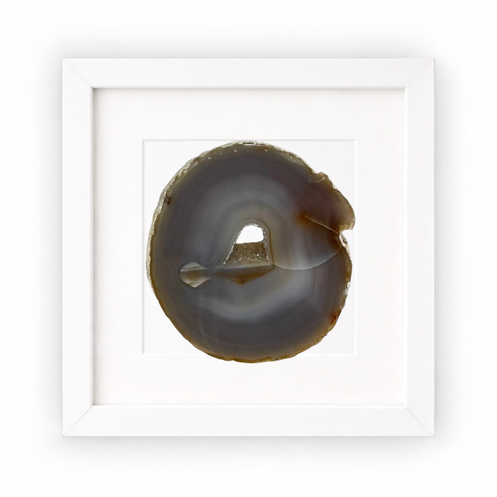 Gemstone Frame Fossil