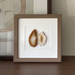 Gemstone Frame brown Almond