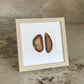 Gemstone Frame beige Ginger