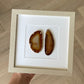 Gemstone Frame beige Ginger
