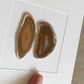 Gemstone Frame brown Taupe